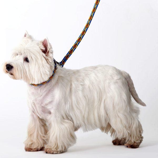 Povodec za psa WINNETOU