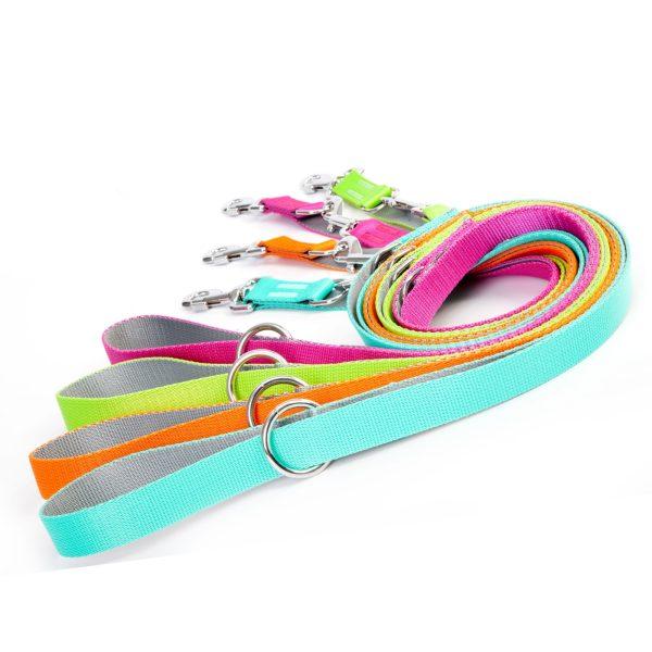 Povodec za psa ENERGY SILVER nastavljive dolžine