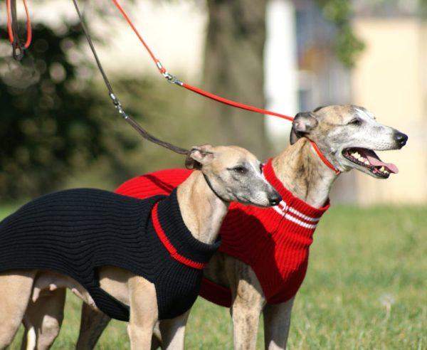 Usnjen razstavni povodec KLASIK