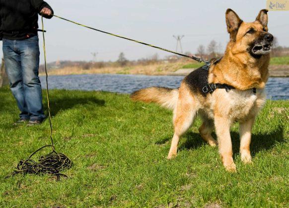 Povodec za sledenje SPECIAL z ročajem