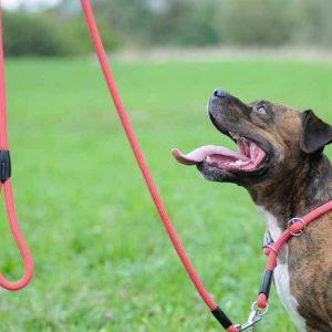 Alternative view of Zatezna ovratnica SNAKE