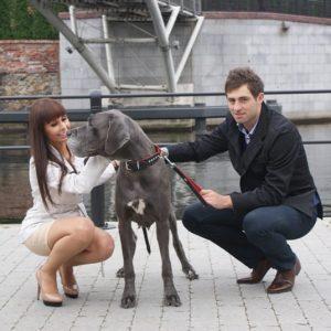 Alternative view of Usnjen povodec EXCLUSIVE - ročaj - 35cm