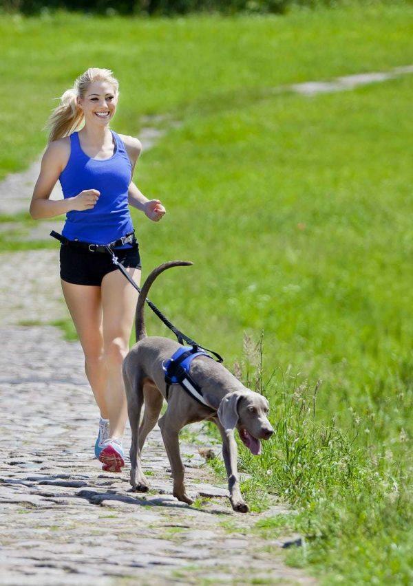 CANICROSS set  za tek s psom