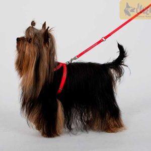 Alternative view of Povodec za psa iz umetnega usnja GLAMOUR