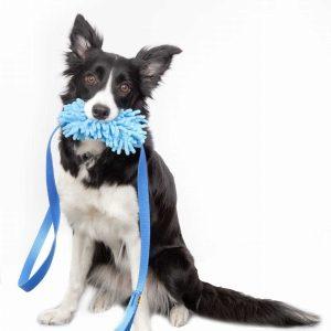 Alternative view of Povodec za psa z vpeto MOP igračo