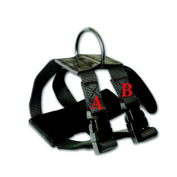 Varnostna oprsnica za psa za v avto