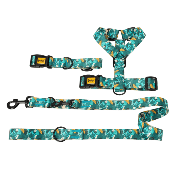 Nastavljiva oprsnica Guard City Monstera