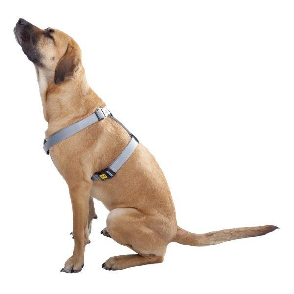 Nastavljiva oprsnica Guard