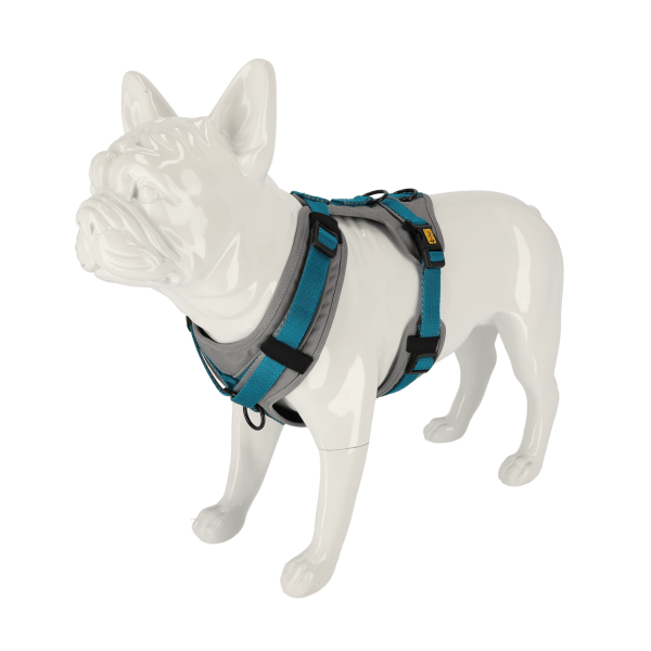 Nastavljiva oprsnica Guard Ultra Active