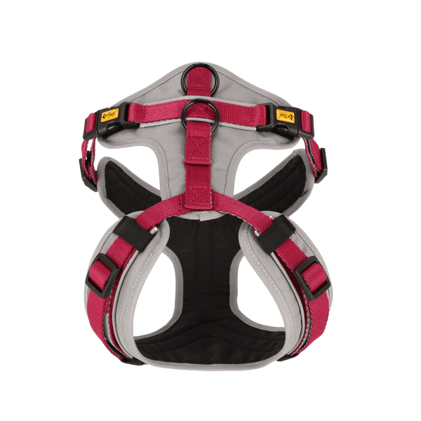 Nastavljiva oprsnica Guard Ultra Active