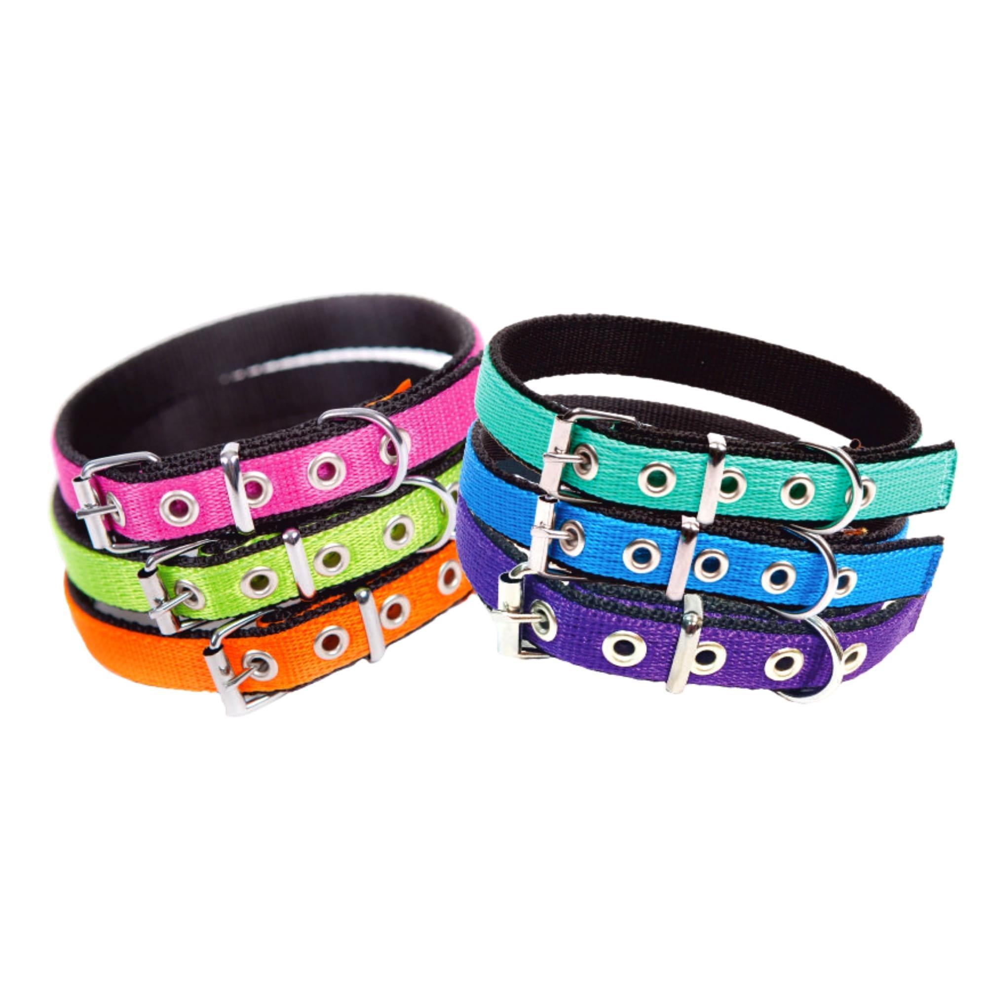 Ovratnica za psa ENERGY EXTRA - slika 2