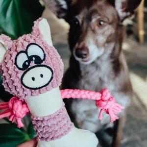 Alternative view of Igrača pujsa Piggy Krotilda