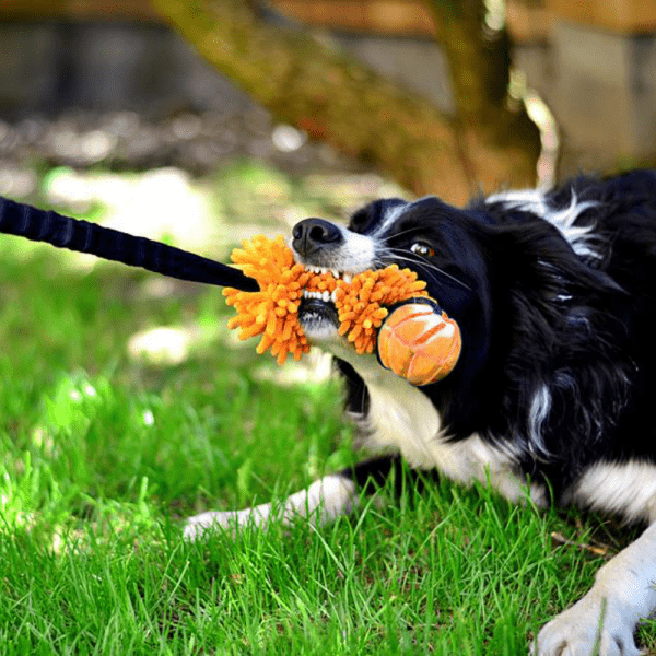 Aport MOP microfibra z ŽOGO in BUNGEE ročajem