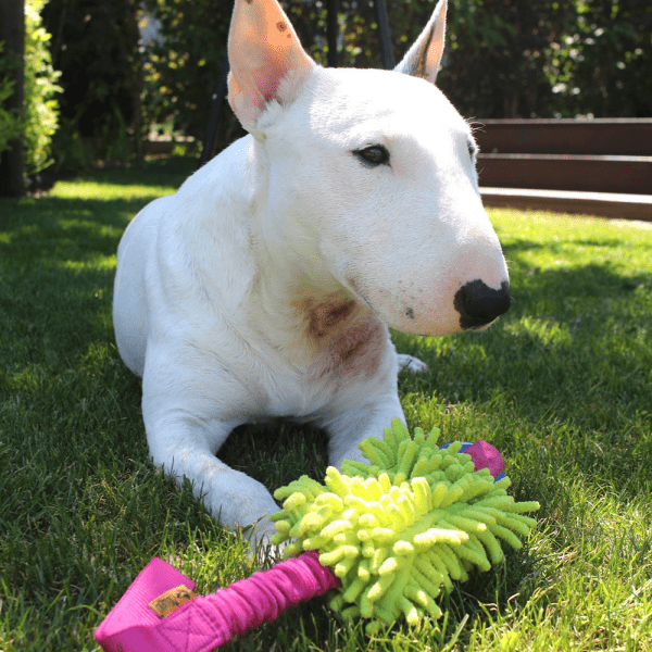 Aport MOP microfibra z ŽOGO in BUNGEE ročajem