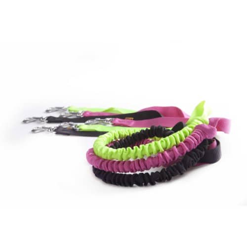 DINGO povodec za tek - CANICROSS bungee - slika 8