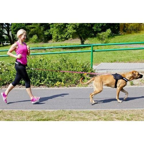 DINGO povodec za tek - CANICROSS bungee - slika 6