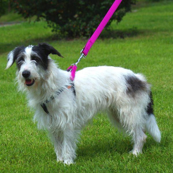 KOMPLET nastavljivih oprsnic STEP-IN ENERGY  - 35 KOS!