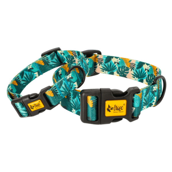 Ovratnica za psa CITY MONSTERA