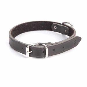 Usnjena ovratnica STANDARD podložena s filcem ČRNA