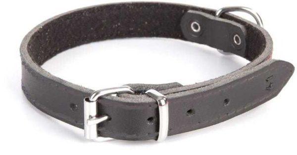 Usnjena ovratnica STANDARD podložena s filcem NATUR