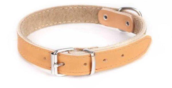 Usnjena ovratnica STANDARD podložena s filcem NATUR