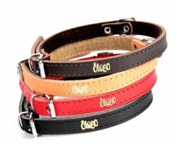 Usnjena ovratnica STANDARD podložena s filcem NATUR