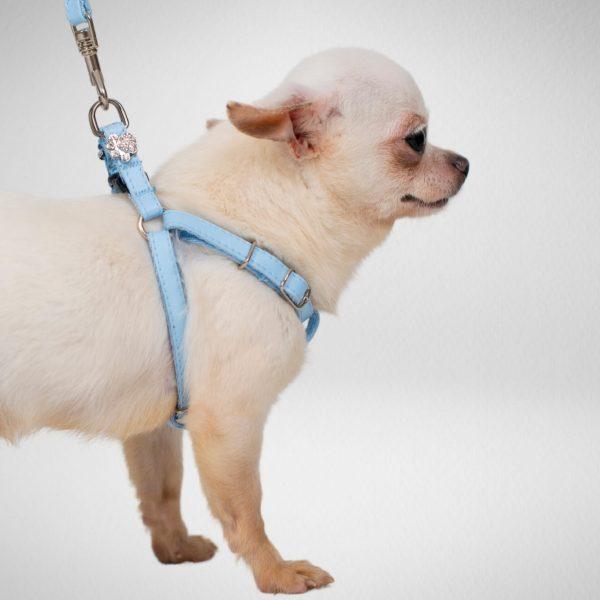 Nastavljiva oprsnica za mini pasme NEW YORK