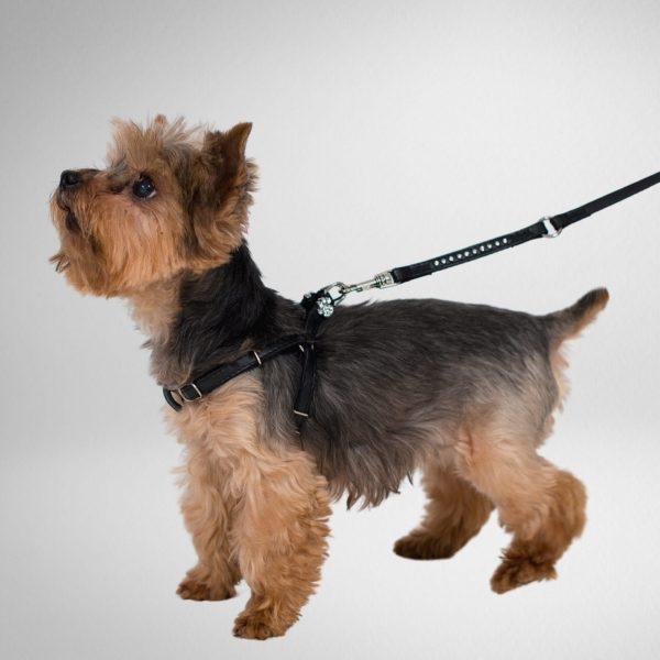 Nastavljiva oprsnica za mini pasme NEW YORK