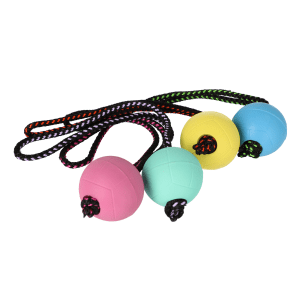 Gumijasta žoga za psa s 30cm ročajem