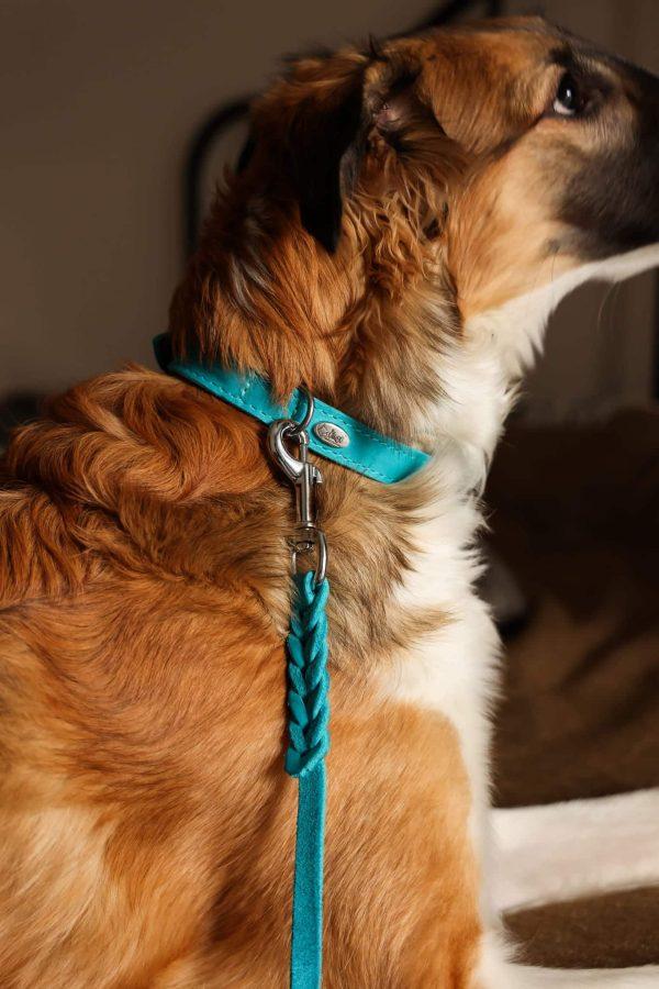 Ovratnica iz PREMIUM mehkega usnja