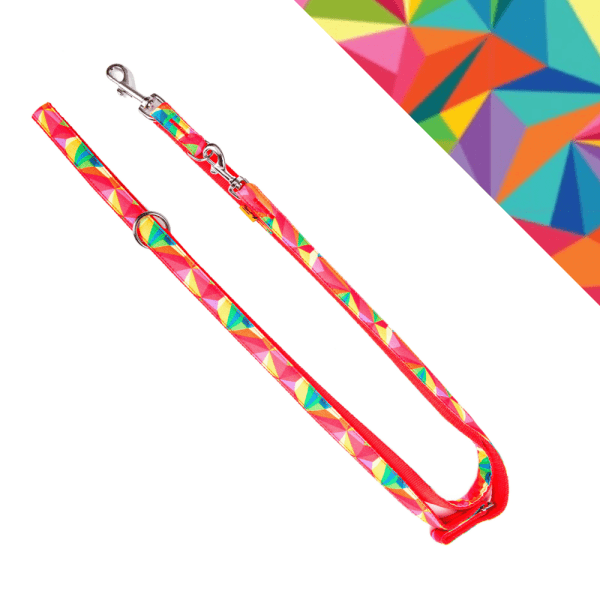 Povodec za psa AMERICA KOLORADO nastavljive dolžine