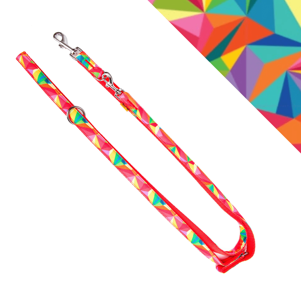 Povodec za psa AMERICA KOLORADO nastavljive dolžine