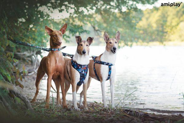 Nastavljiv povodec 6 v 1 Adventure