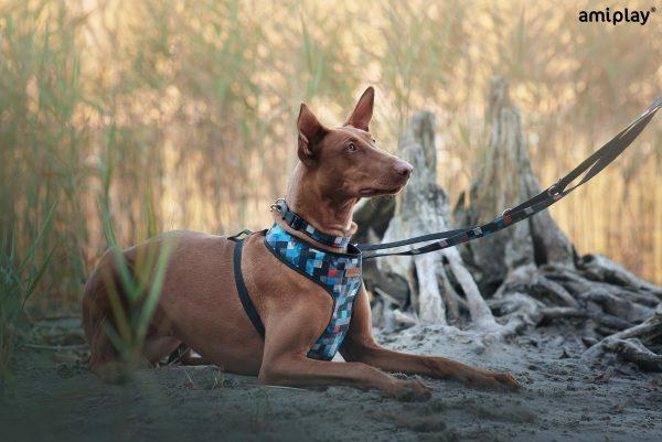 Nastavljiv povodec 6 v 1 Adventure