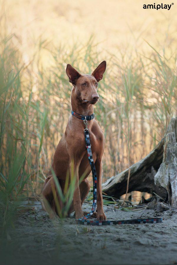 Nastavljiv povodec 6 v 1 Adventure