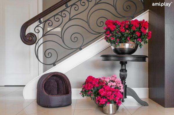 Ovalna pasja hiška iglu Aspen