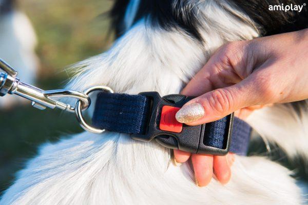 Nastavljiva ovratnica z zaklepom Basic