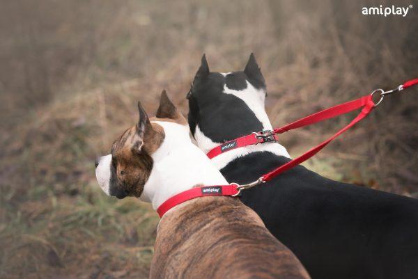 Povodec za 2 psa Coupler Basic