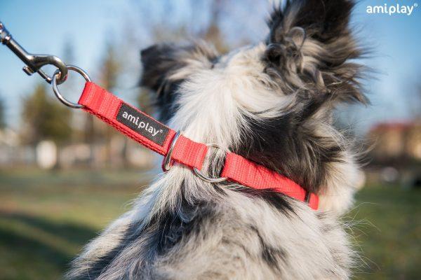 Polzatezna ovratnica Basic