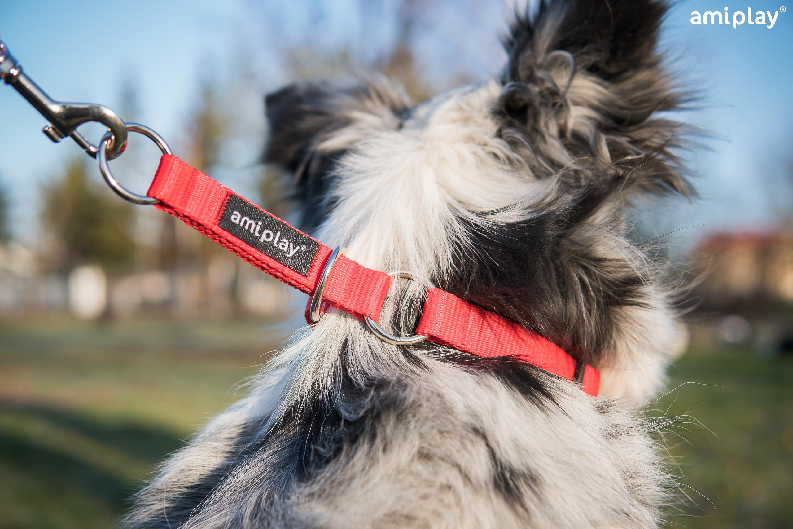 Polzatezna ovratnica Basic - slika 5