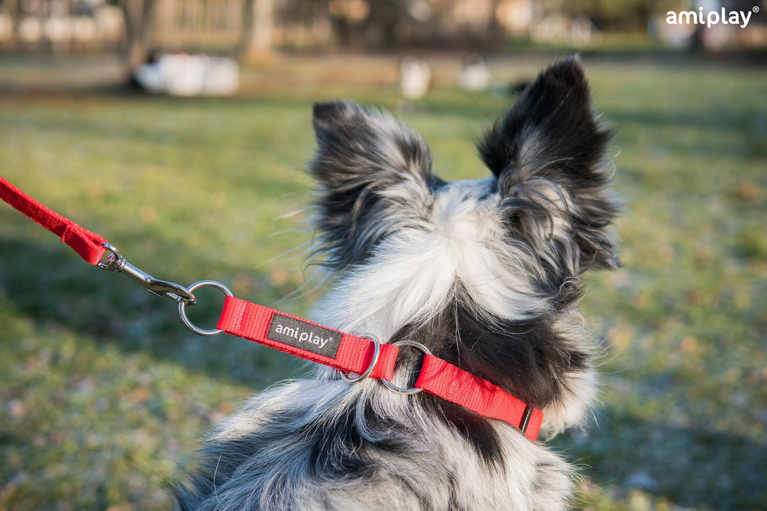 Polzatezna ovratnica Basic - slika 7