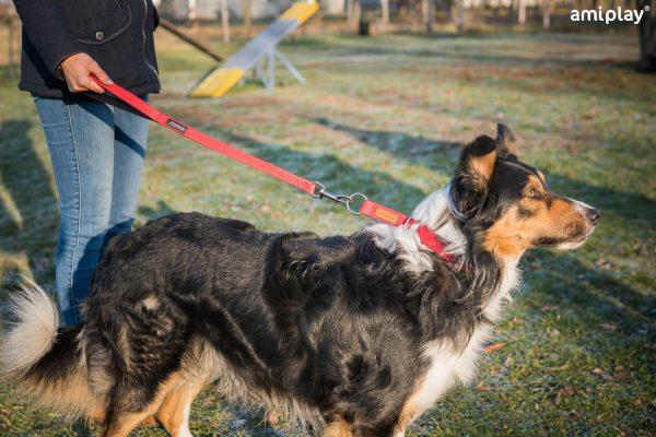 Kratek povodec Basic