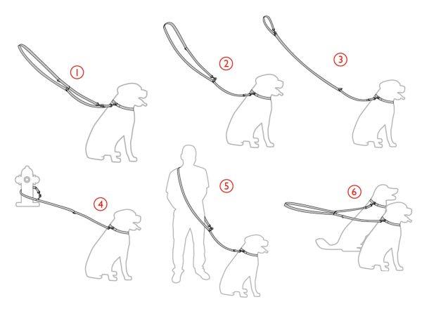 Nastavljiv povodec 6 v 1 Cambridge