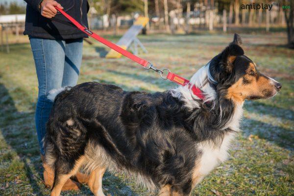 Nastavljiv povodec 6 v 1 Cotton