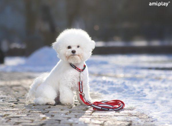 Nastavljiv povodec 6 v 1 Cotton Shine