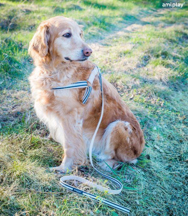 Povodec za psa Cotton Shine