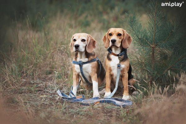 Nastavljiva oprsnica Denim