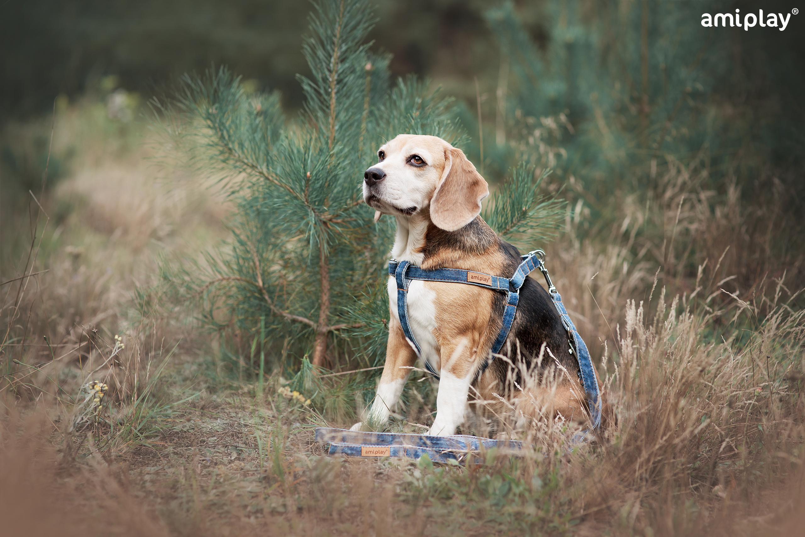 Nastavljiv povodec 6 v 1 Denim - slika 5