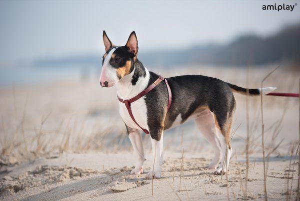 Nastavljiva oprsnica Lincoln