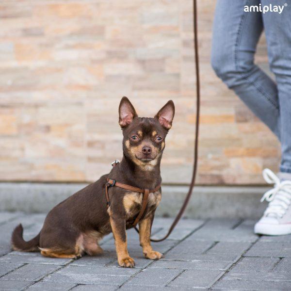 Nastavljiva oprsnica Lincoln